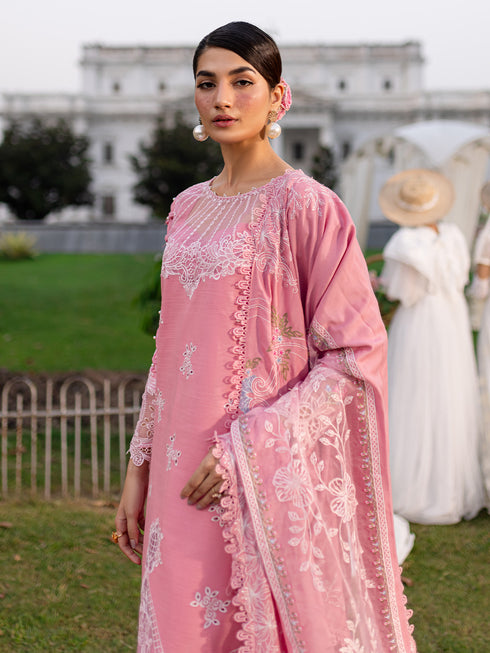 PN-12 | 3 PC Khaddar